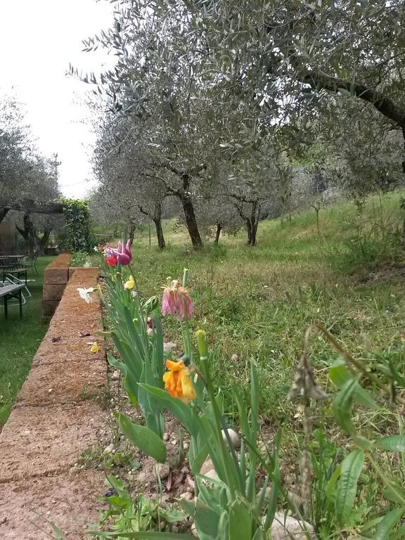 Agriturismo Camparella Pastrengo Zewnętrze zdjęcie
