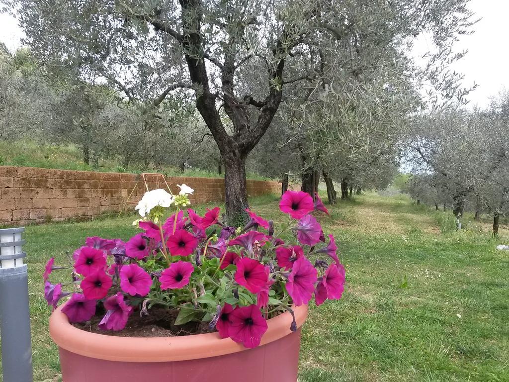 Agriturismo Camparella Pastrengo Zewnętrze zdjęcie