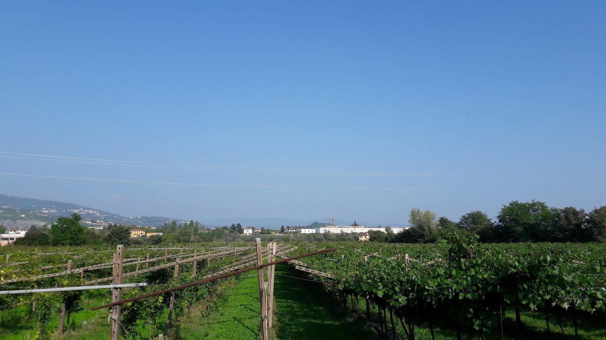 Agriturismo Camparella Pastrengo Zewnętrze zdjęcie